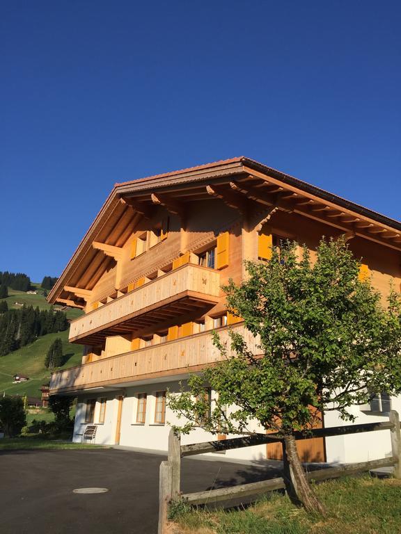 Chalet Butterfly Adelboden Camera foto