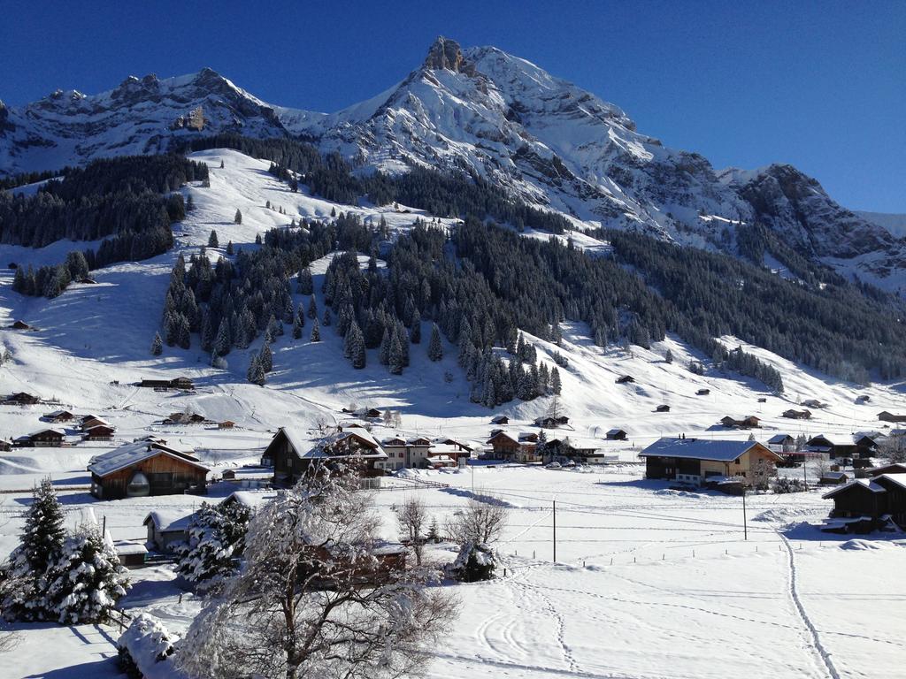 Chalet Butterfly Adelboden Camera foto