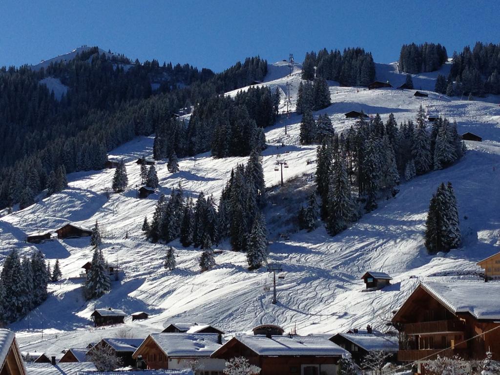 Chalet Butterfly Adelboden Camera foto